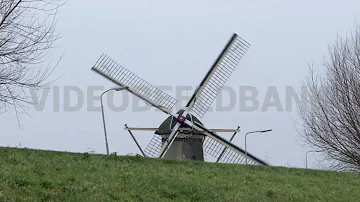 Midden Delfland Maasland Molens #2