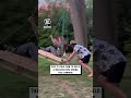 This is your sign to make a giant rope swing this summer 😲😂                 🎥: BViral