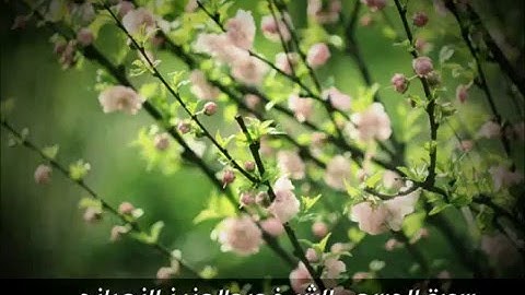 سورة المسد - تلاوة خاشعة للشيخ عبدالعزيز الزهراني