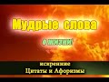 Мудрые слова о жизни. Искренние цитаты и афоризмы