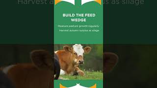 Autumn is your best chance to build feed for winter