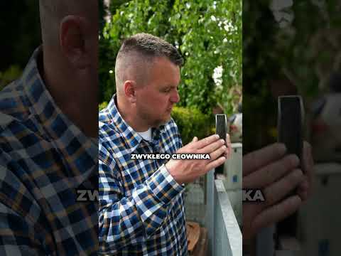 Idealny box śmietnikowy