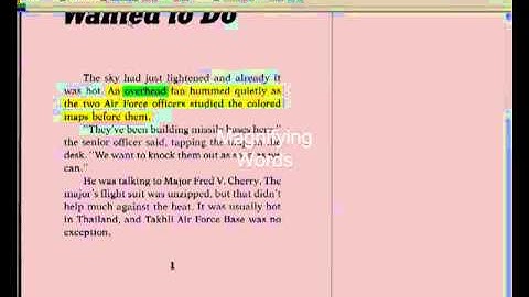 Kurzweil Reading.mp4