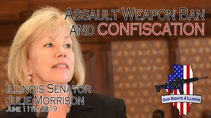 Senator Julie Morrison Town Hall June 11th Assault...