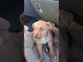 His Name Is Duke 7 10 2025 His Name Is Duke 7 10 2025