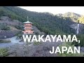 DJI Phantom 4 Drone Flying in Wakayama, Japan