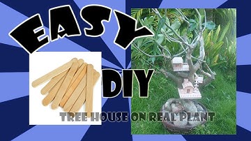 How to Make Small Tree House in REAL PLANT | DIY Tree House Popsicle Stick