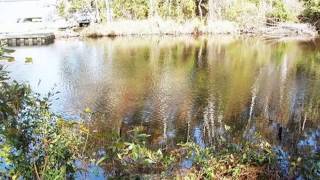 Homes For Sale - Lot 109 0000 Spindrift Trail Elizabeth City Nc 27909 - Cynthia Smith