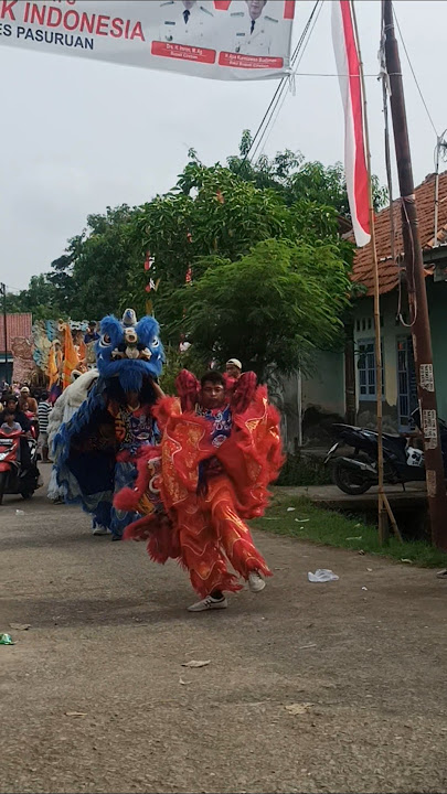 atraksi barongsai salto