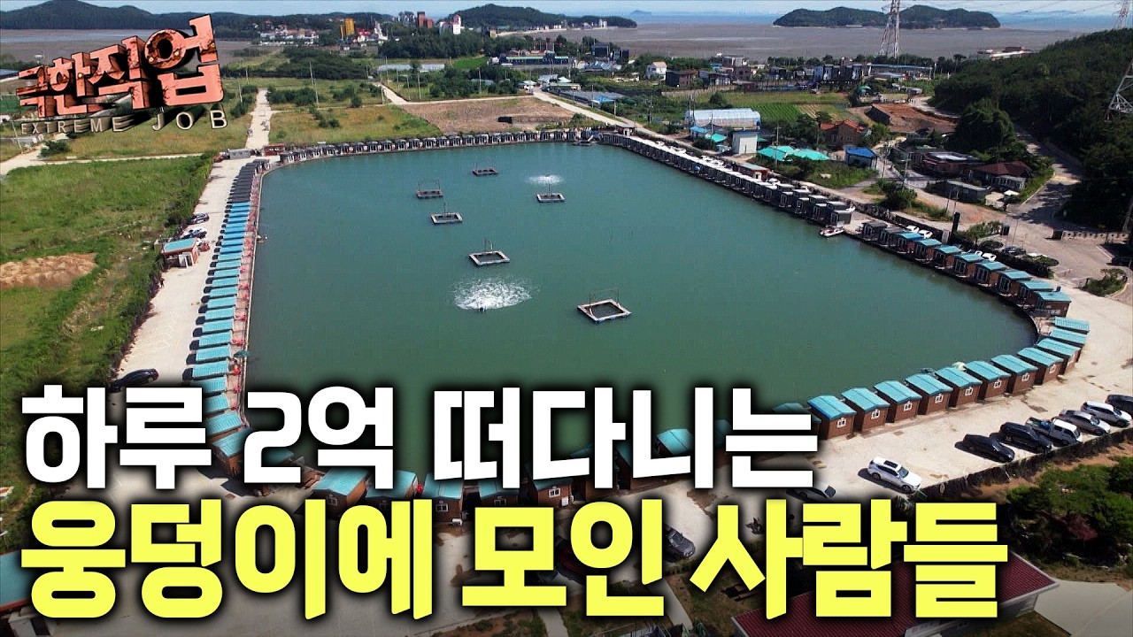 “24시간 문전성시” 초희귀 생선 다금바리까지 있다｜낚시꾼들 모이게 하는 초대형 낚시터의 진짜 매력｜극한직업