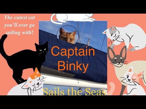 Captain Binky - Book Week Story Time - YouTube