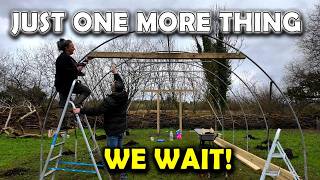 Celebrity Polytunnel Restoration Is Almost COMPLETE! Now We Wait! Wealth