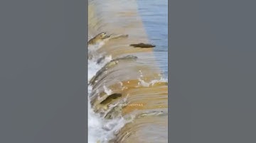 why this zig zag pattern in river