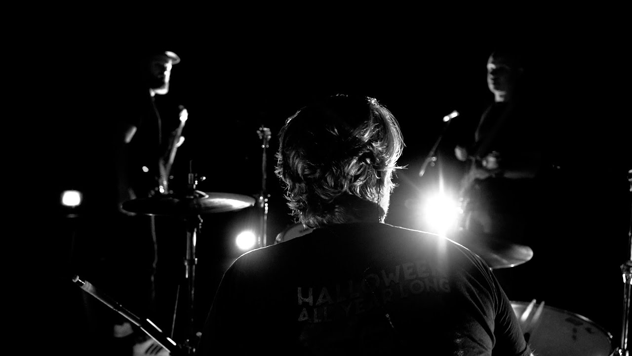 Orchid in the Ivy - Devotion