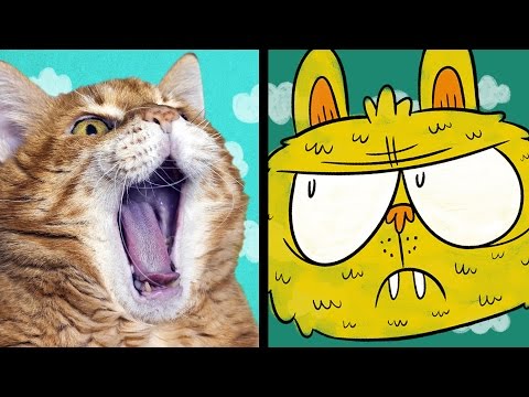 9 Mind-Blowing Cat Facts