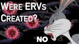 Were ERVs Created?