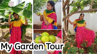 எங்க வீ்ட்டு தோட்டம் || My Garden Tour ||  What's in my Garden