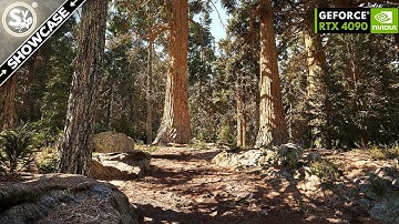 ULTRA REALISTIC Redwood Forest in UNREAL ENGINE 5 | RTX 4090 4K60