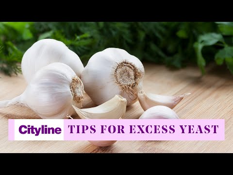 6-diet-tips-to-get-rid-of-excess-yeast-in-your-body