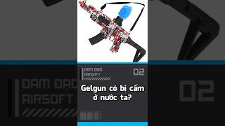 Gelgun có bị cấm ở nước ta? screenshot 2