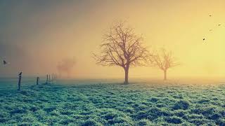 Overcrest - Mist