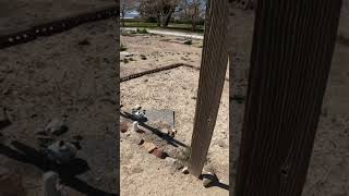 Chief Tecopa Cemetery - Pahrump Nevada #cemetery #gravesite #thecemeterydetective