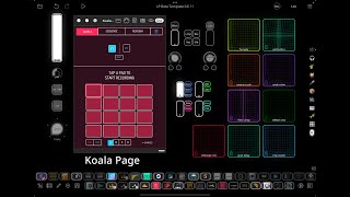 Koala inside Loopy Pro Template - Preview
