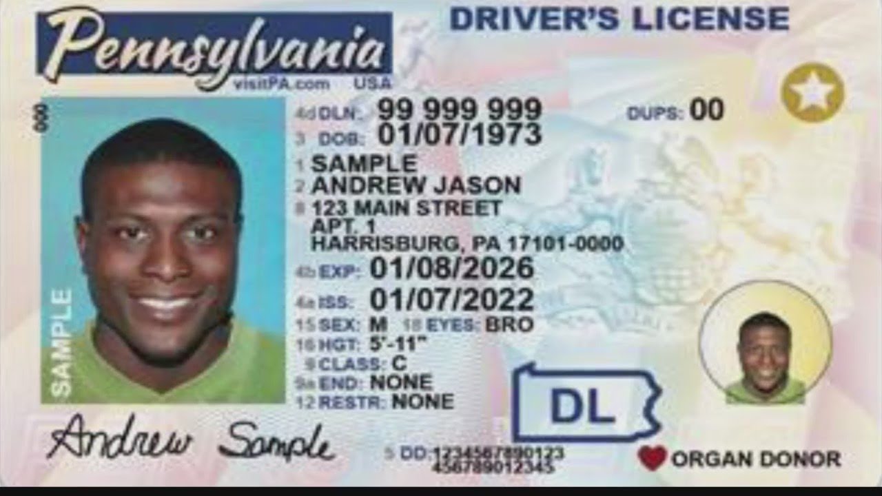 No more DMV! Pa. driver's license renewals to be done online - WHYY