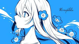 Nemophila