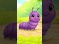 Bichos para Niños 🐞 | Aprende los Insectos con Sonidos y Nombres | 1 a 5 Años #educacioninfantil