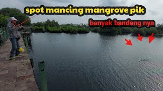 spot mancing mangrove pik banyak bandeng nya