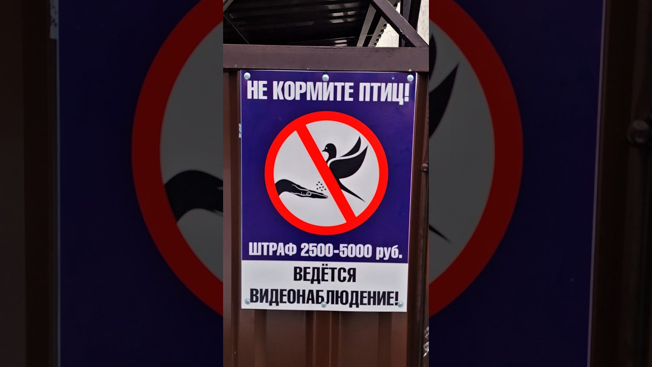 Капитализм напал на братьев наших меньших! 