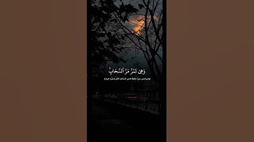 القرآن الكريم تلاوه رائعه للشيخ عبد الرحمن مسعد #اكسبلور #المصحف #دويتو #القرآن_الكريم