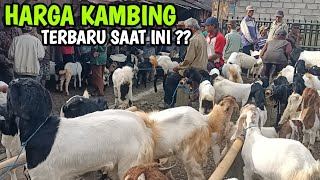 Download Lagu Jantan 650 Ribu ?? Update Harga Kambing Terbaru Hari Ini Pasar Kliwon Trenggalek @dadungkeluh9817  MP3