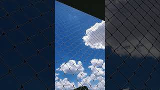 Voe