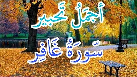 تلاوة جميلة ♡ سورة غافر ♡ القارئ رزكار محمد الكردي ♡