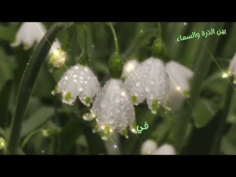 حب وأمان أغنية عن النور والسلام الداخلي     