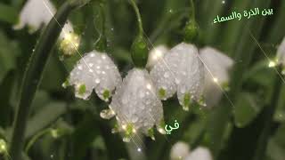 حب وأمان   أغنية عن النور والسلام الداخلي                                        سمعها