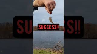 ULTIMATE LIVE BAIT RIGGING SYSTEM!! #shorts #fishing