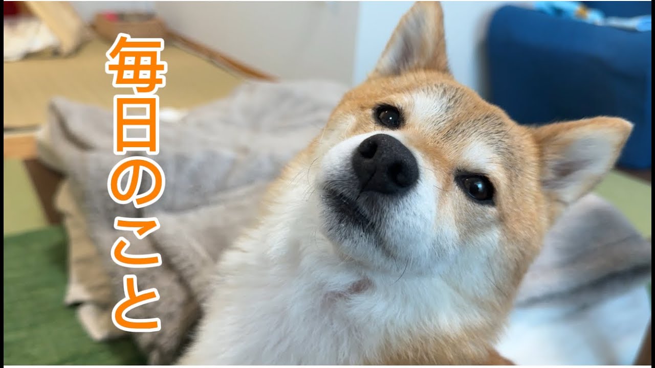 福ちゃんなりにずっと続けてきた小さな習慣