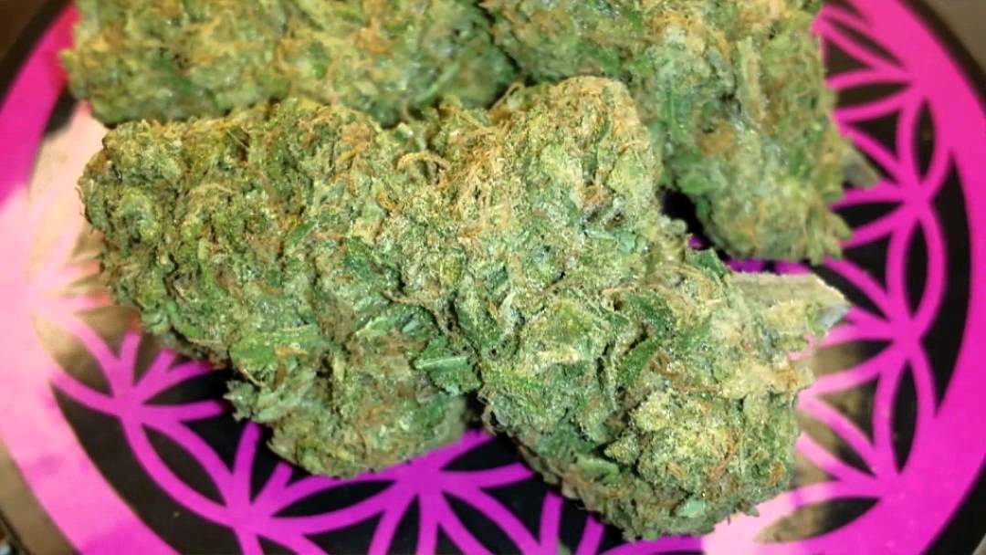 Monterey Medical Marijuana - Blue Haze Review