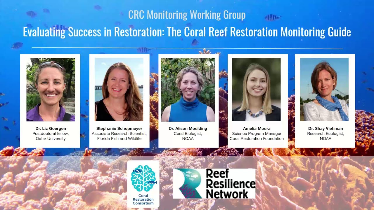 Evaluating Success in Restoration
