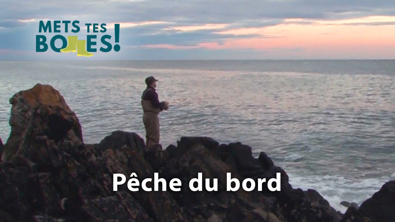 Bar en Irlande : une pêche exigeante et contrôlée