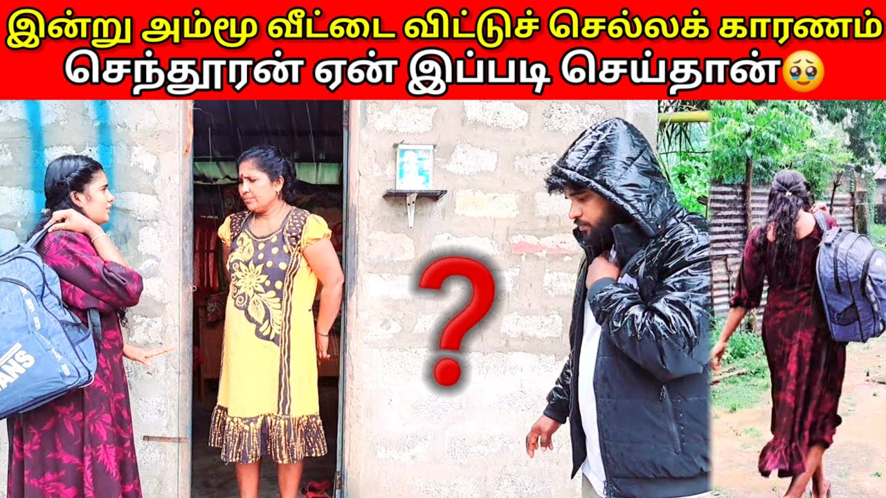 இன்று அம்மூ வீட்டை விட்டுச் செல்லக் காரணம் செந்தூரன் ஏன் இப்படி செய்தான்🥹|SJ VLOG