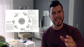 Brand Development Course - Week 4 Reflection Video