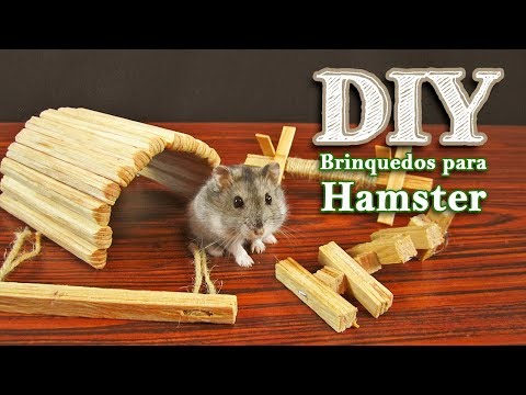 DIY Hamster Chew toys