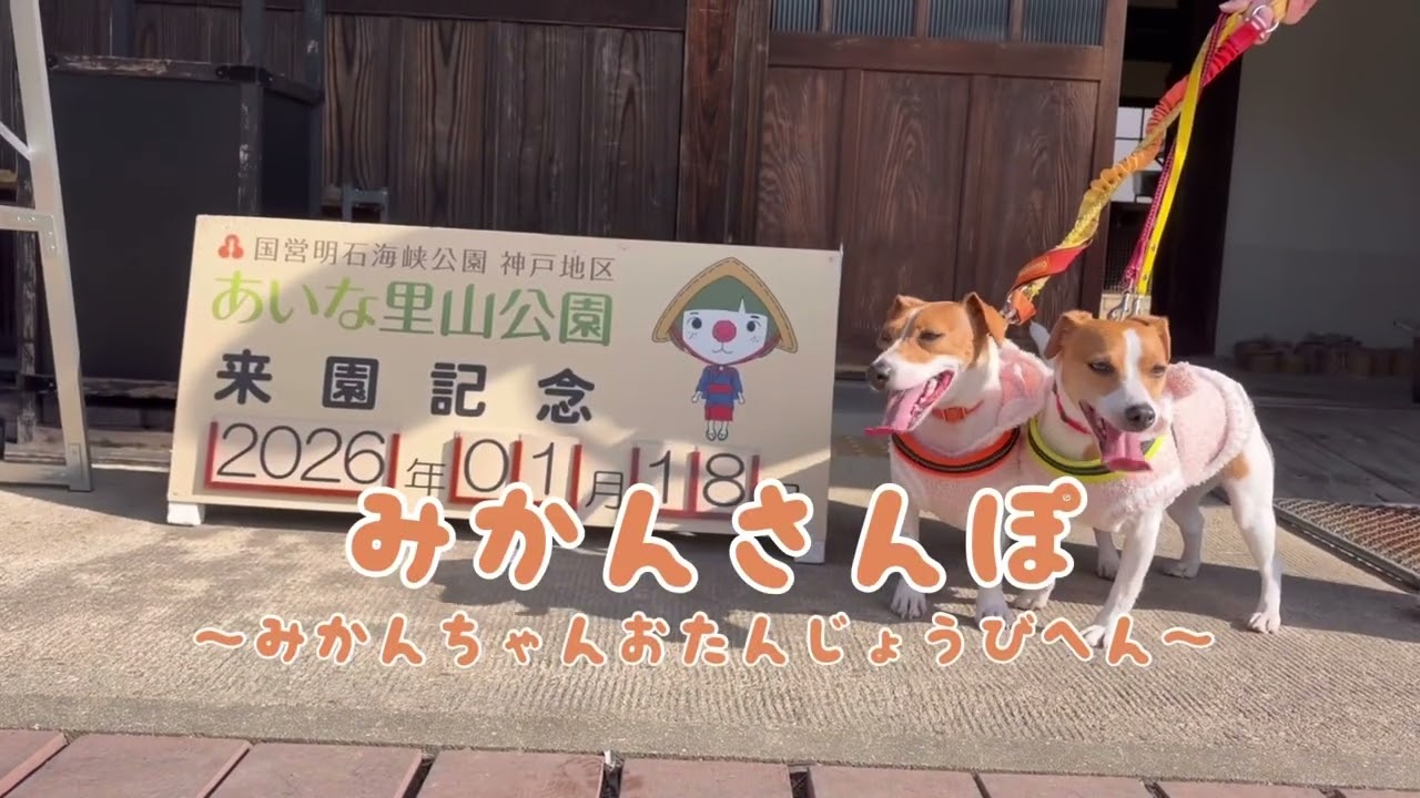 みかんさんぽ〜みかんちゃんお誕生日編〜