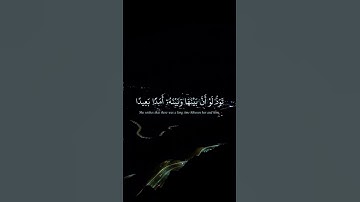 #روائع_الشيخ_سيد_سعيد_رحمه_الله  #سورة_آل_عمران #القران #قرآن_كريم #المصحف