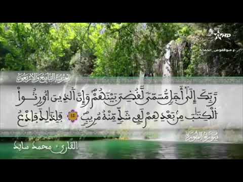 القارئ محمد سايد الحزب 49 من المصحف المرتل التعليمي رواية ورش عن نافع من طريق الأزرق 
