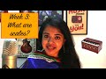 Week 3: What are Scales? (Understanding a Harmonium) | Chandrani’s Online Music Class